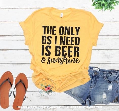 The Only BS I Need is Beer and Sunshine-2