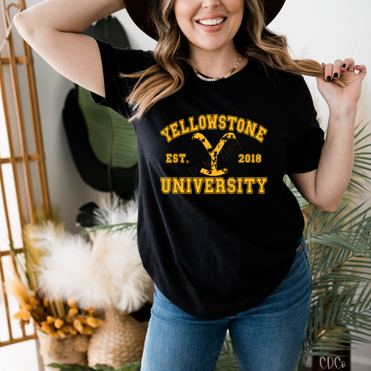 Yellowstone University